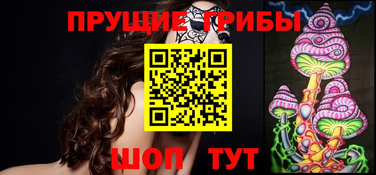 Псилоцибиновые грибы Psilocybe  Вход с VPN  Назарово 